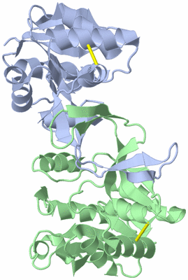 Image Asym./Biol. Unit