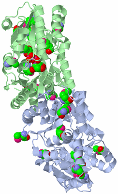 Image Biological Unit 1