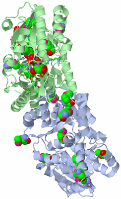 Image Biol. Unit 1 - sites