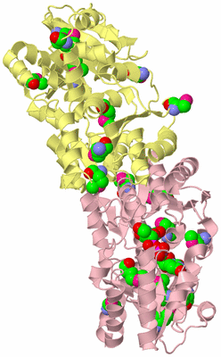 Image Biological Unit 2