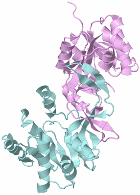 Image Biological Unit 3