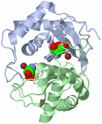 Image Asym./Biol. Unit