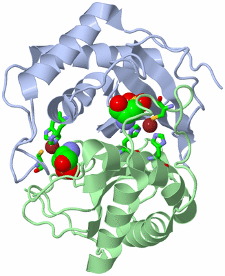 Image Asym./Biol. Unit - sites