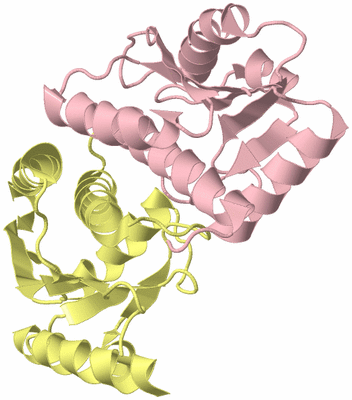 Image Biological Unit 9