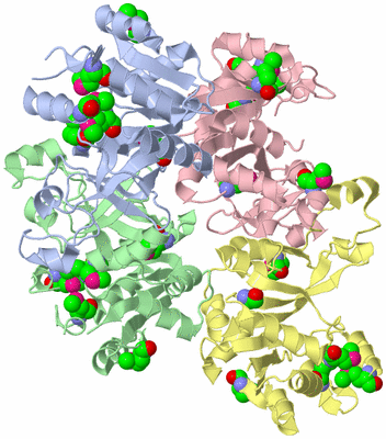 Image Asym./Biol. Unit