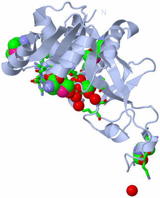 Image Biol. Unit 1 - sites