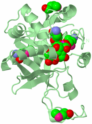 Image Biological Unit 2