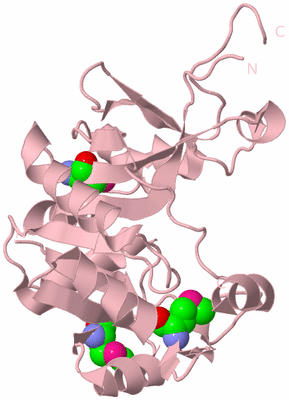 Image Biological Unit 3