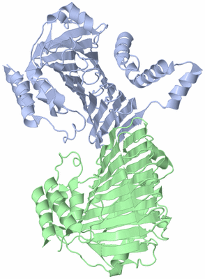 Image Asym./Biol. Unit