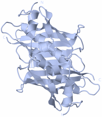 Image Biological Unit 3