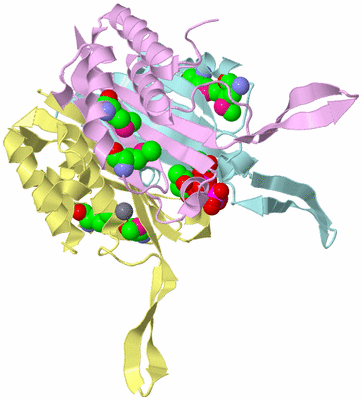 Image Biological Unit 2