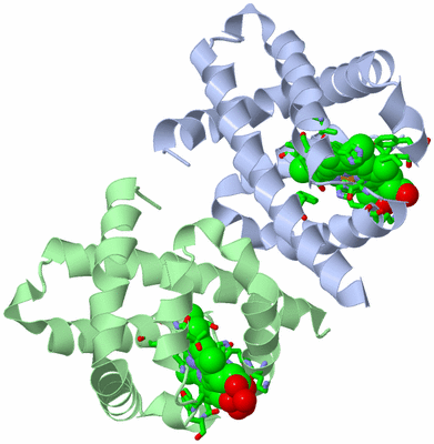 Image Asym./Biol. Unit - sites