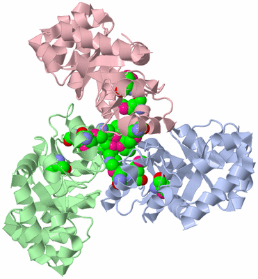 Image Biological Unit 1