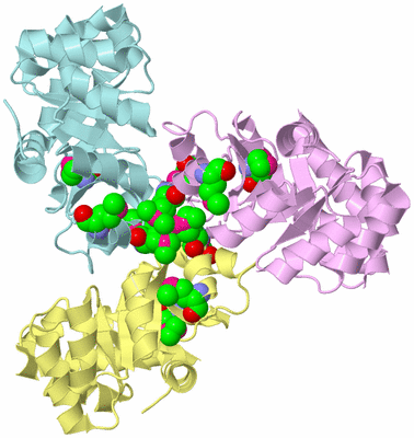 Image Biological Unit 2