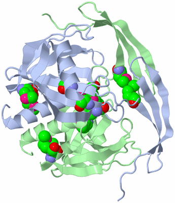 Image Asym./Biol. Unit