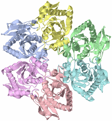 Image Asym./Biol. Unit