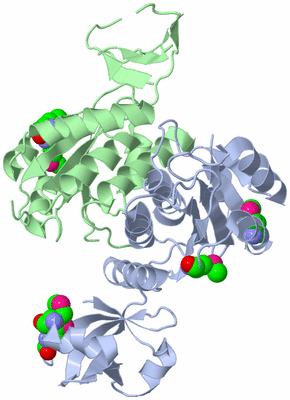 Image Biological Unit 1