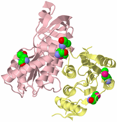 Image Biological Unit 2