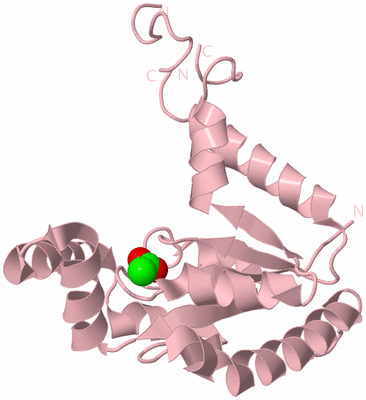 Image Biological Unit 3