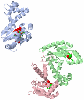Image Asym. Unit - sites