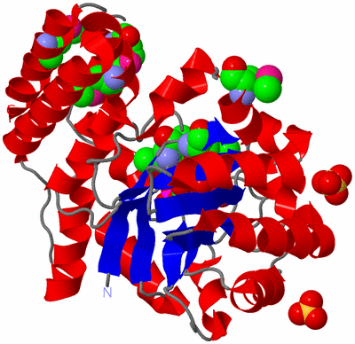 Image Asym./Biol. Unit