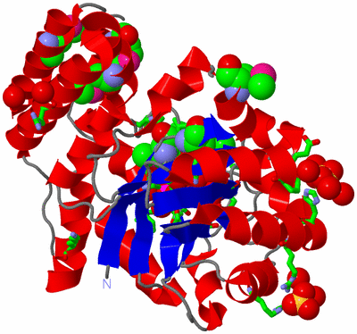 Image Asym./Biol. Unit - sites