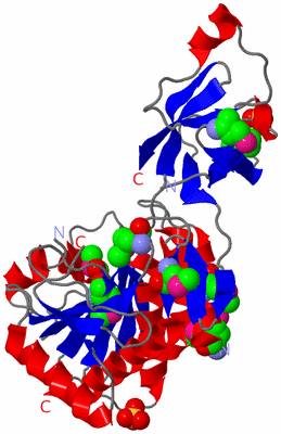 Image Asym./Biol. Unit