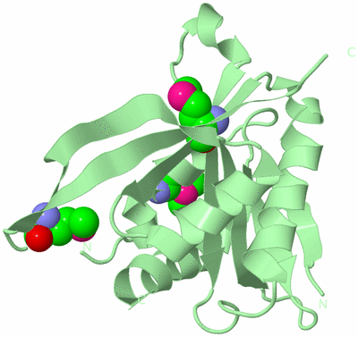 Image Biological Unit 2