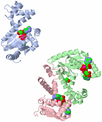 Image Asymmetric Unit