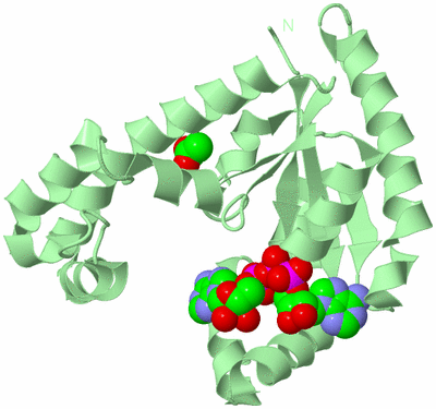 Image Biological Unit 2