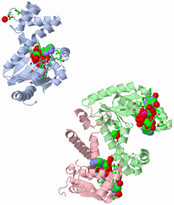 Image Asym. Unit - sites
