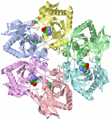 Image Asym./Biol. Unit