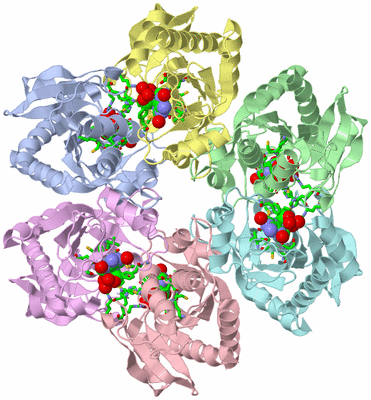 Image Asym./Biol. Unit - sites
