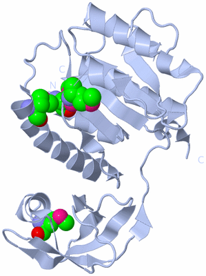 Image Biological Unit 1