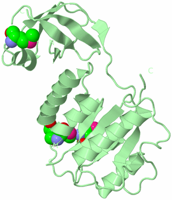 Image Biological Unit 2