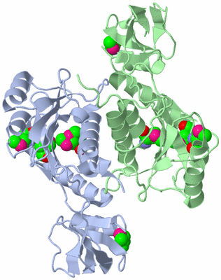 Image Biological Unit 3