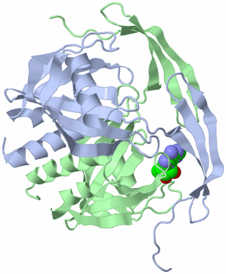 Image Asym./Biol. Unit