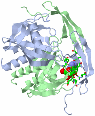 Image Asym./Biol. Unit - sites