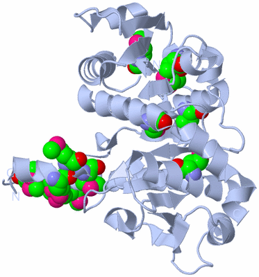 Image Biological Unit 1