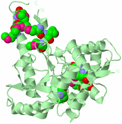 Image Biological Unit 2