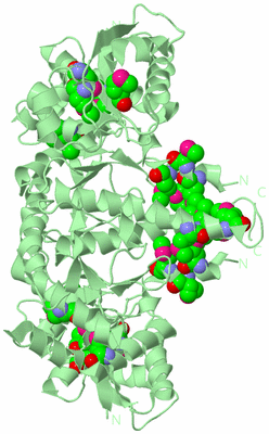 Image Biological Unit 3