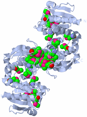 Image Biological Unit 4