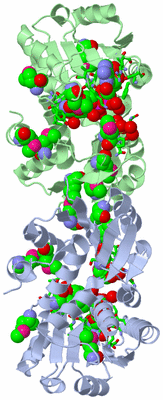 Image Asym./Biol. Unit - sites