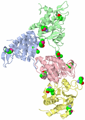 Image Asymmetric Unit