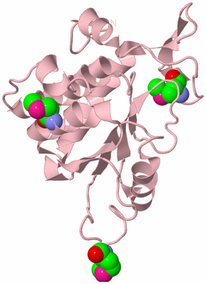 Image Biological Unit 3