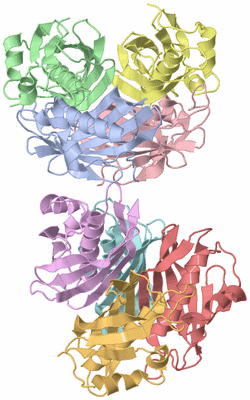 Image Asymmetric Unit