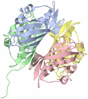 Image Biological Unit 1