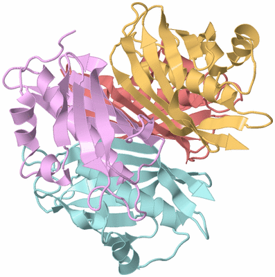 Image Biological Unit 2