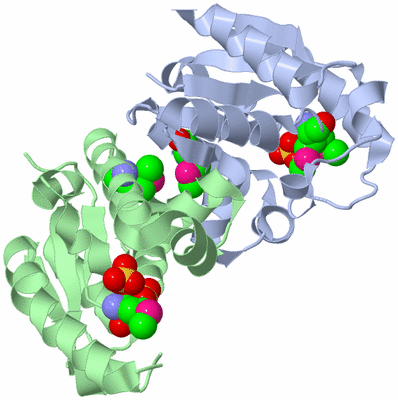 Image Asym./Biol. Unit