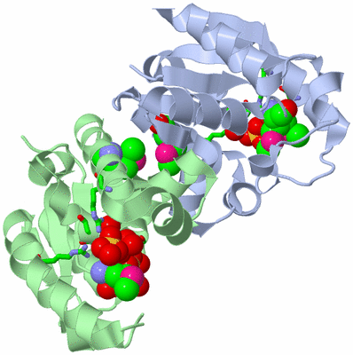 Image Asym./Biol. Unit - sites